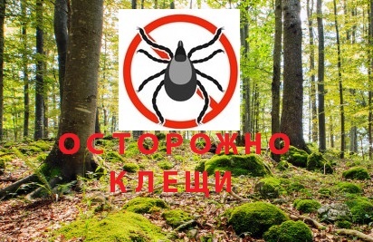 Осторожно, клещи!